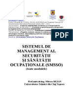 SMSSO.doc