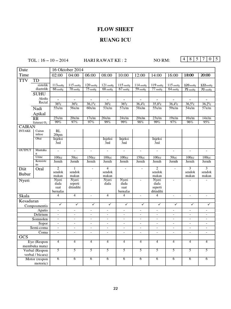 ICU Flow Sheet - Patient Monitoring | PDF
