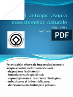 Impactul Antropic Asupra Ecosistemelor Naturale