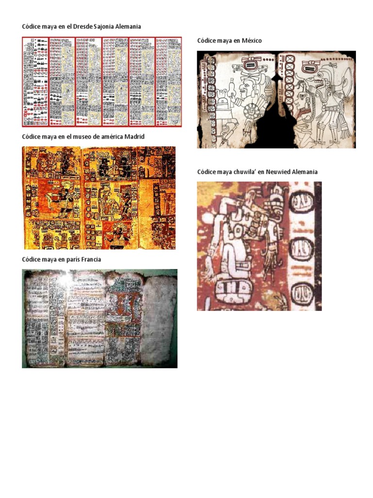 Codices Maya | PDF | Biblioteca y museo | Libros
