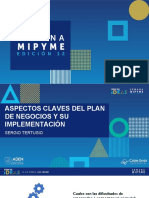 Aspectos Claves Para Un Plan de Negocio y Su Implementacion - Sergio Tertusio