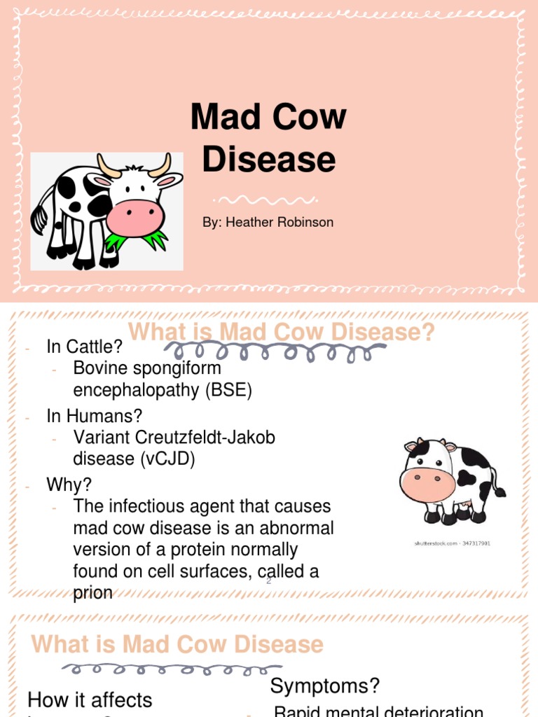 Risk Assessment Envirn Mad Cow Disease-2 | PDF | Animals And Humans ...