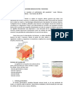 Lesiones Básicas de Piel y Mucosas