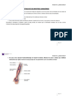 ACTIVITAT 9.2. Extracció de Mostres Sanguínies