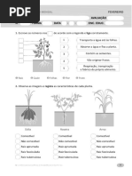 Ficha Avaliação Plantas 1