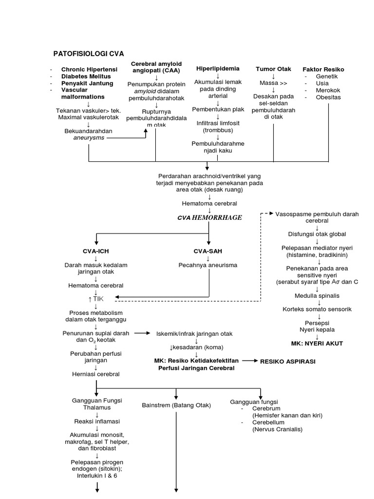 Patofisiologi CVA: Penyebab dan Dampak | PDF
