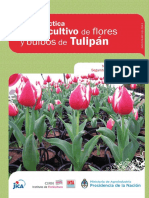 Guía de producción de tulipanes en Argentina