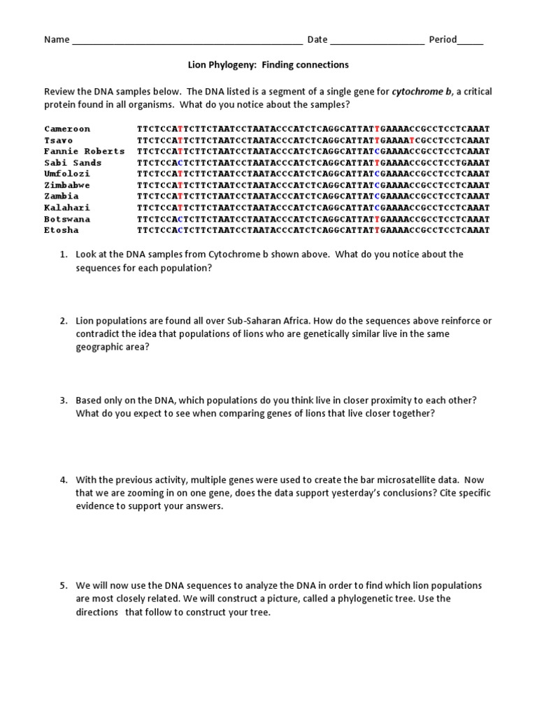 Lion Phylogeny Activity Cytochrome B PDF Tree Dna