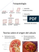 Urolitiasis Fisiopatología