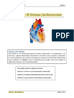 Sistema Cardiovascular