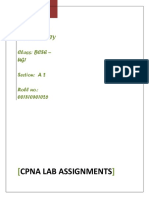 CPNA Project Final PDF