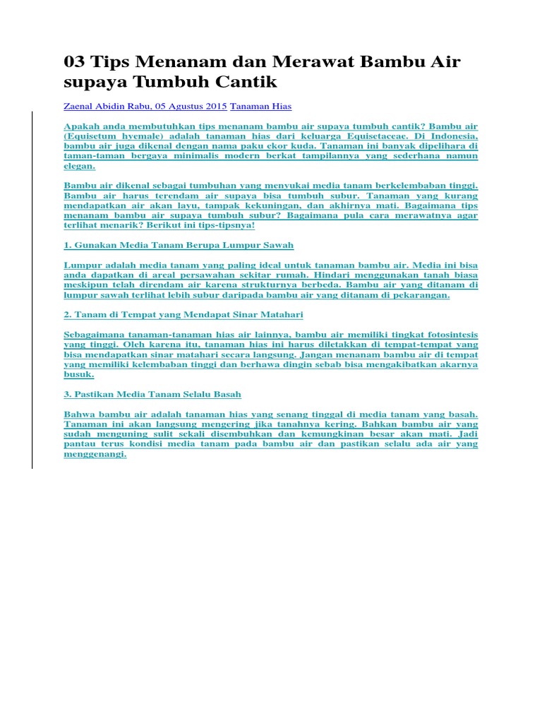 3 Tips Menanam Dan Merawat Bambu Air Supaya Tumbuh Cantik