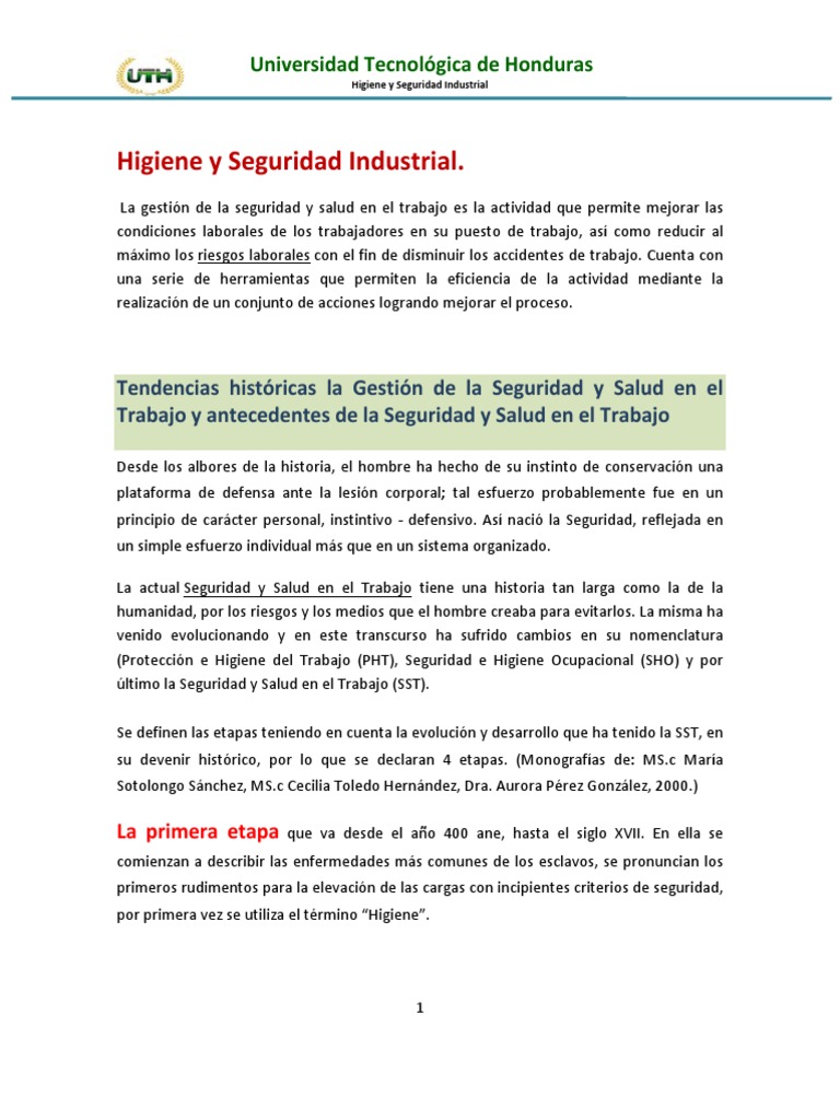 Higiene y Seguridad Industrial en el Trabajo | PDF | Seguridad y salud ...