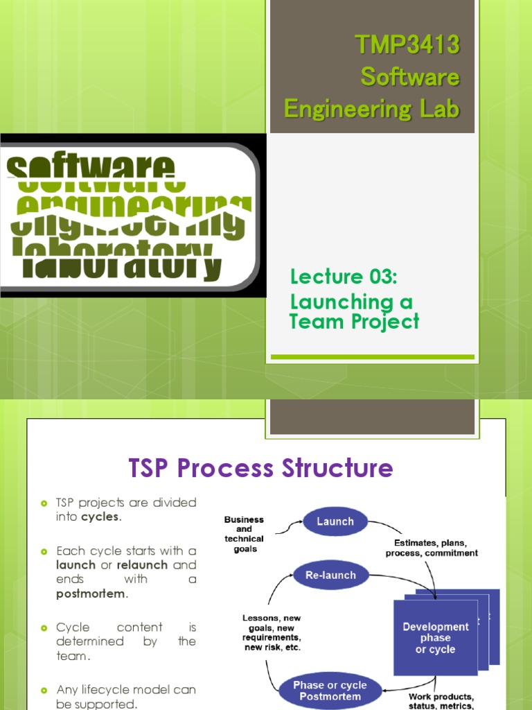 TSP Team Project Launch Guide | PDF | Goal Setting | Goal