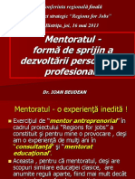 Beudean Mentoratul Bune Practici