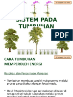 Sistem Pada Tumbuhan