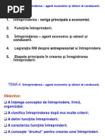 TEMA_4_Intreprinderea