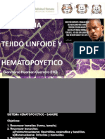Tejido Hematopoyetico Y LINFOIDE
