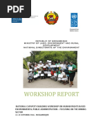 Bilene Workshop Report 