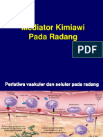 Mediator Radang