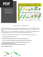 Exercícios Genética 1 (1)