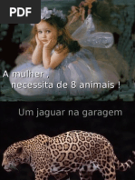 A mulher necessita de 8 animais