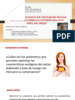 Ppt-Proyecto Nectar Final