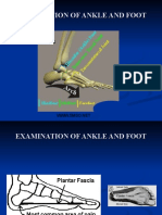 Ankle & Foot Exam
