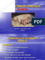 004 - Manejo Marranas 1