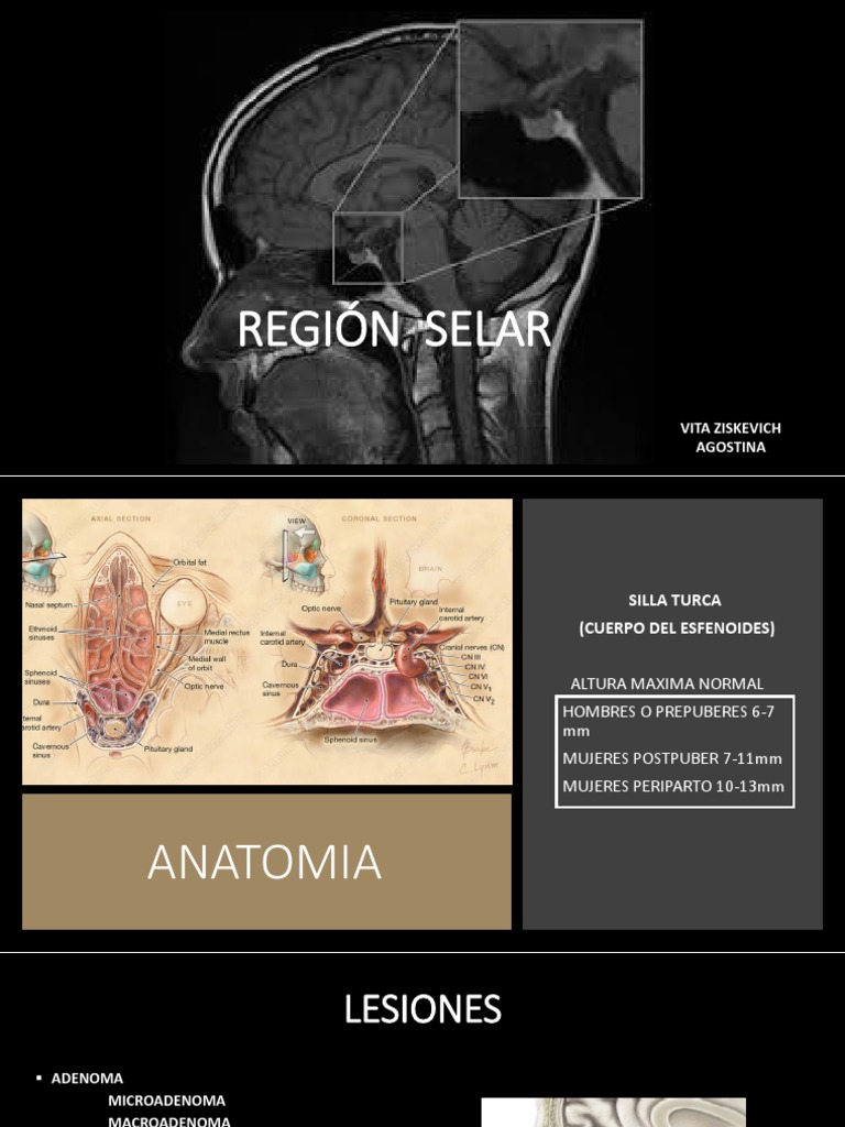 Región Selar | PDF