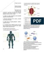 Sistema endocrino y regulación hormonal