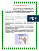 Sistema Nervioso Periferico