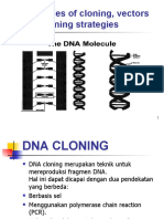 1. Prinsip Cloning - Post UTS