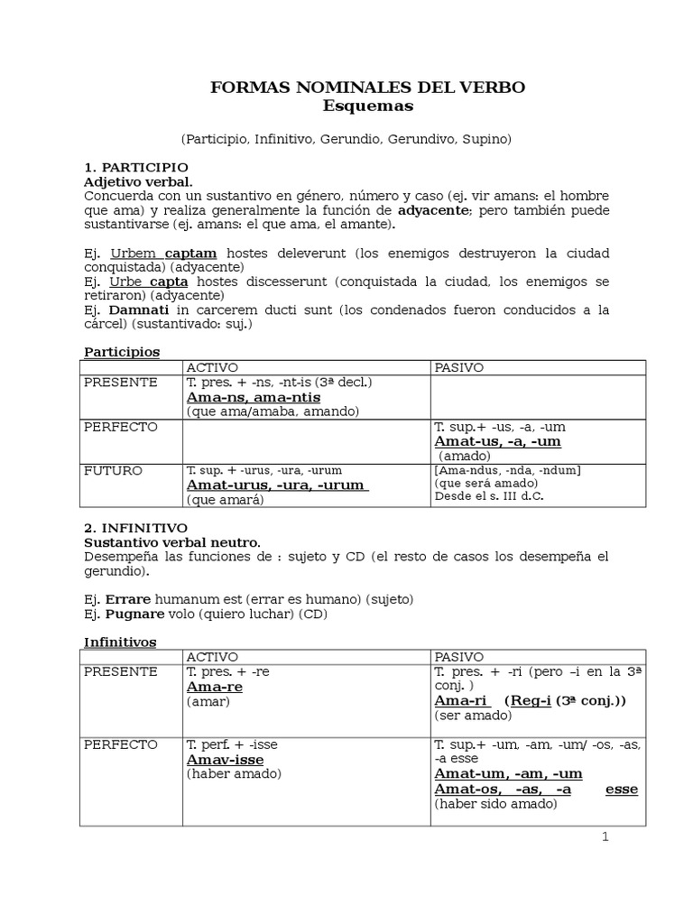 Sintaxis - Formas Nominales (Esquemas) | PDF | Morfología Lingüística ...