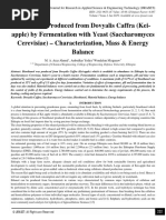 Bioethanol Produced From Dovyalis Caffra (Kei-Apple) by Fermentation With Yeast (Saccharomyces Cerevisiae) - Characterization, Mass & Energy Balance