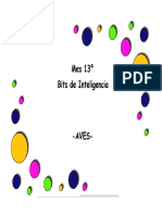Bits Aves PDF