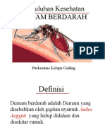 134920357-PENYULUHAN-DBD-fix-ppt.ppt