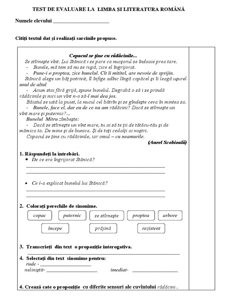 2 Test de Evaluare Romana | PDF