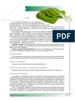 acelga(1).pdf