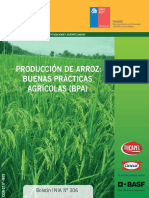 Manual-de-Arroz-PDF.pdf