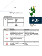 U1 l6 Organismul Plantelor Superioare