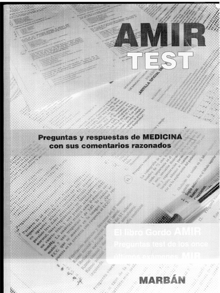 Amir Test | PDF