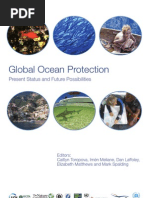 Download Global Ocean Protection Current Trends and Future Opportunities by Instituto EcoFaxina SN39925634 doc pdf