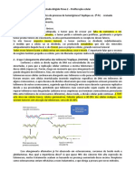 ED PT2 Proliferação Celular - Revisado