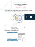 Eval Ciclo y Mitosis