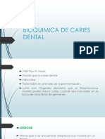 Bioquimica de Caries Dental
