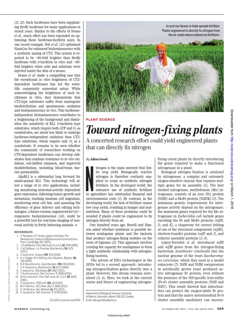 Nitrogen Fixation PDF Biochemistry Chemistry