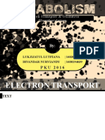 Electron Transport & Oxidative Phosphorylation: Lukjijatul Lutfiana - 160301940 Irvandar Nurviandy - 1600194039