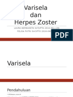 Varisela - Herpes Zoster