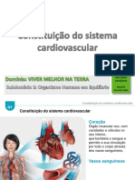 18_19_5_sistema_cardiovascular.pdf
